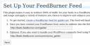 Feedburner configurado en WordPress